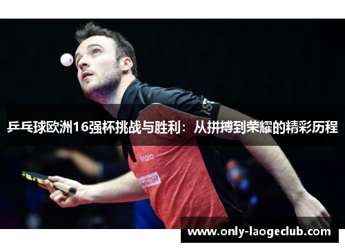乒乓球欧洲16强杯挑战与胜利：从拼搏到荣耀的精彩历程