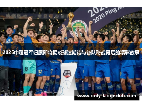 2025中超冠军归属即将揭晓球迷期待与各队秘战背后的精彩故事