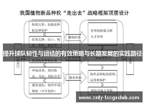 提升球队韧性与团结的有效策略与长期发展的实践路径