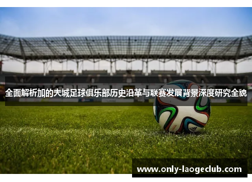 全面解析加的夫城足球俱乐部历史沿革与联赛发展背景深度研究全貌